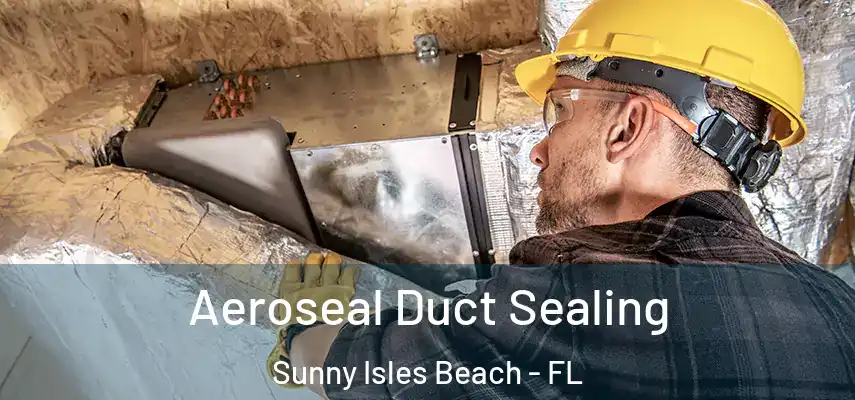  Aeroseal Duct Sealing Sunny Isles Beach - FL