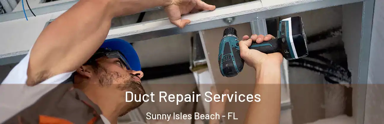  Duct Repair Services Sunny Isles Beach - FL